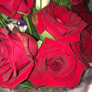 集芳阁 搜你所想 眼睛妹
